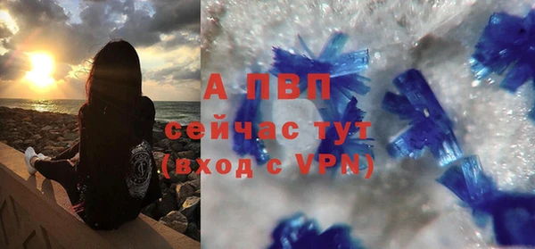шишки Белоозёрский