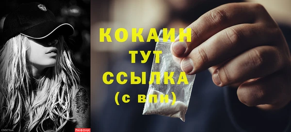 шишки Белоозёрский