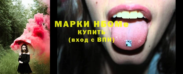 шишки Белоозёрский