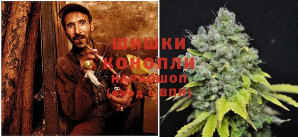 шишки Белоозёрский