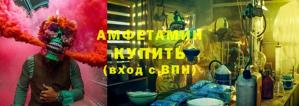 шишки Белоозёрский