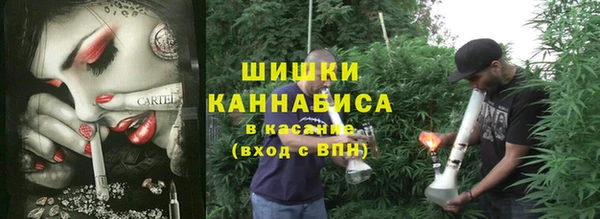 шишки Белоозёрский