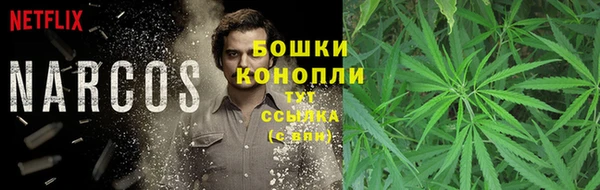 a pvp Белокуриха