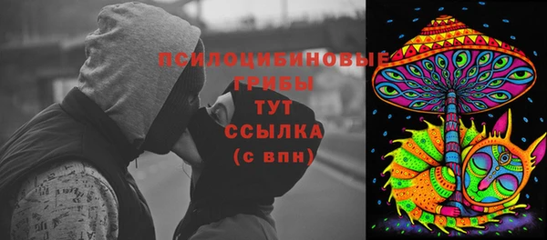 шишки Белоозёрский
