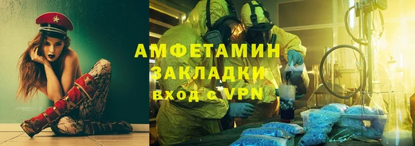 шишки Белоозёрский