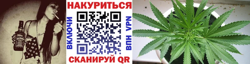 Каннабис конопля Советск